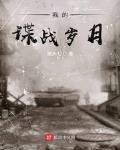 我的谍战岁月