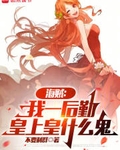 海贼：我一后勤，皇上皇什么鬼