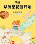 华娱从流星花园开始