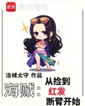 海贼：从捡到红发断臂开始