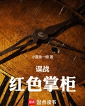 谍战：红色掌柜